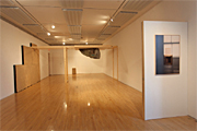 Afterlife, Tjaden Gallery, April 2010